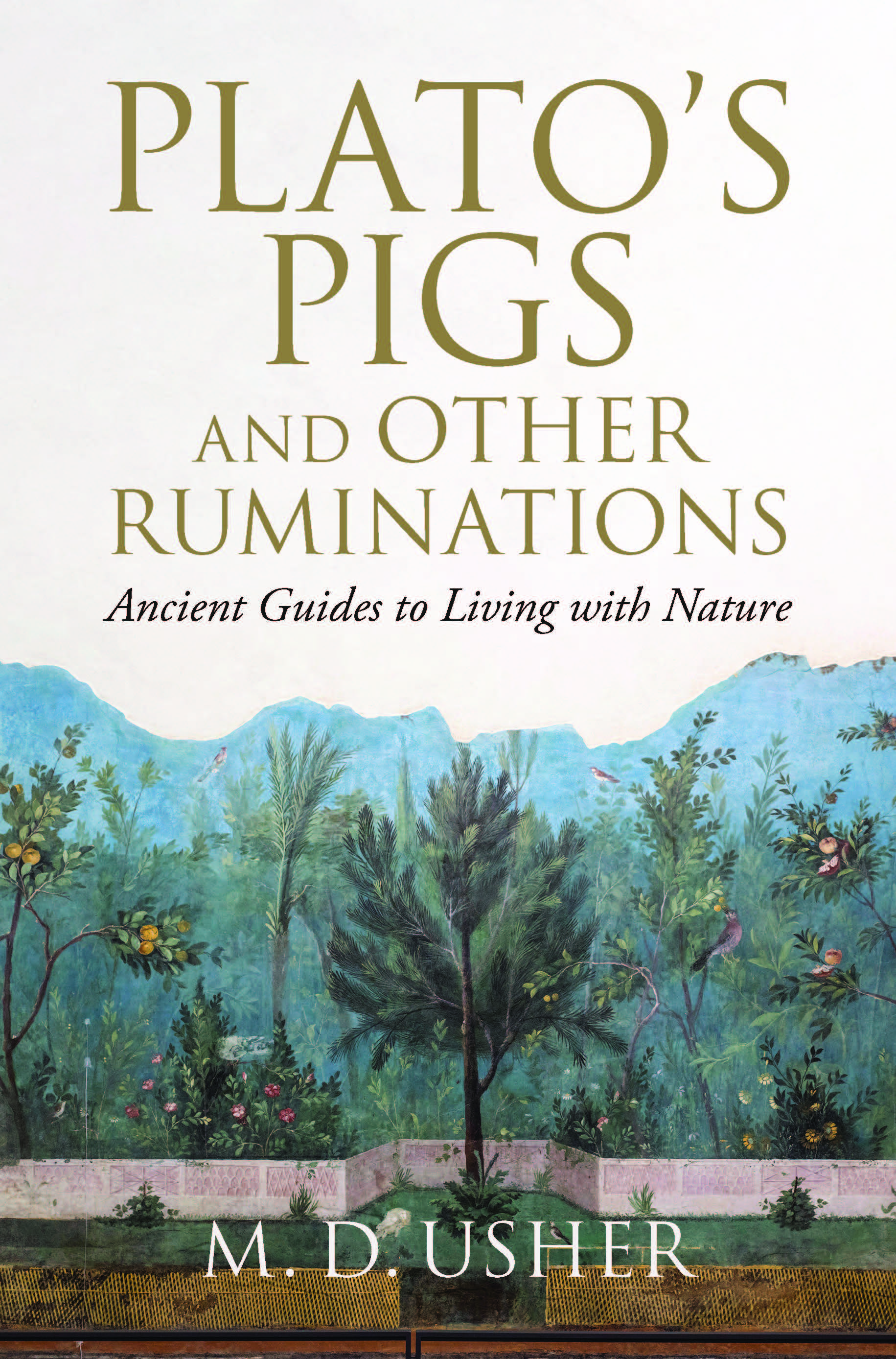Cover of Plato's Pigs and Other Ruminations