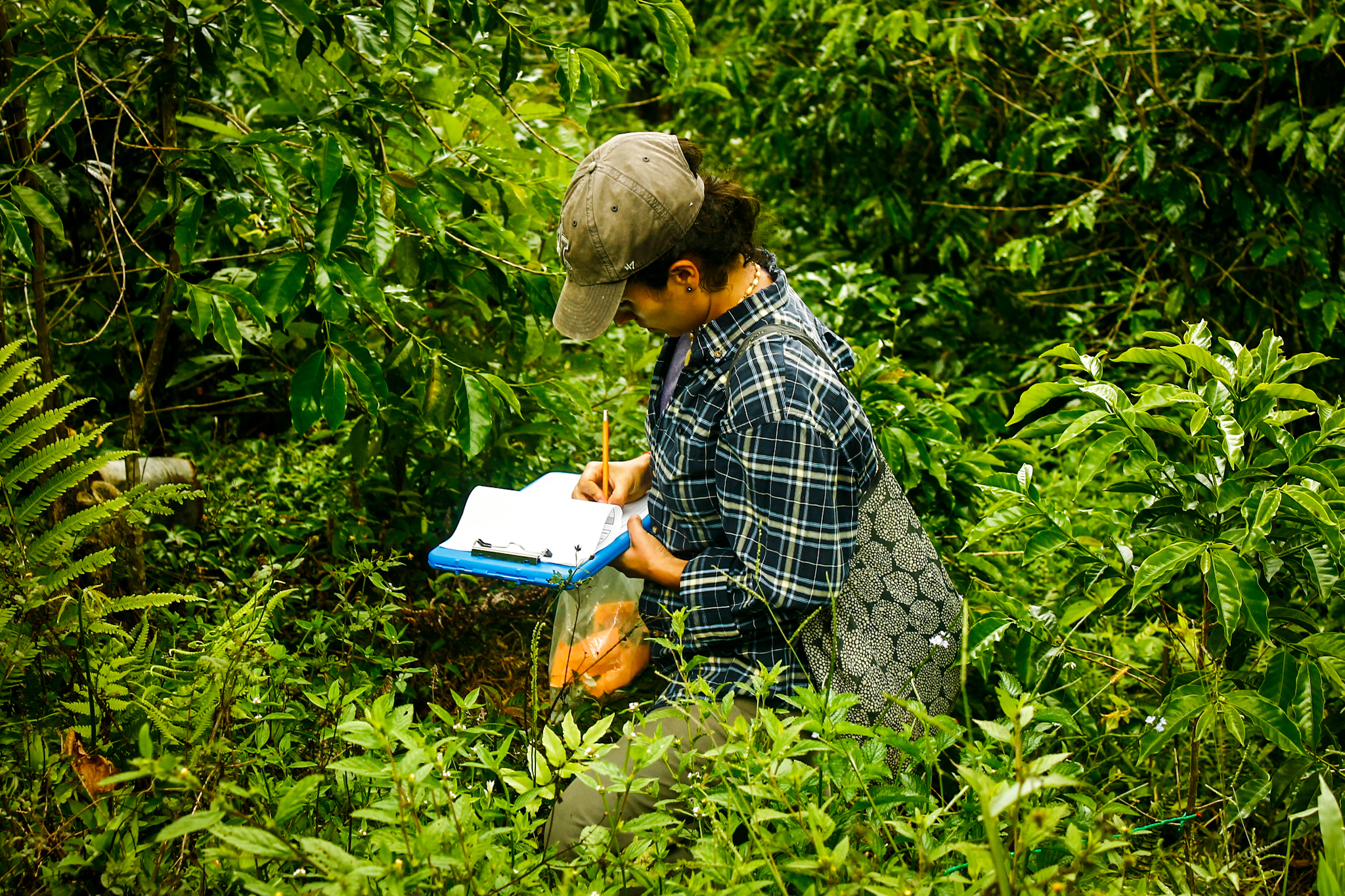 Person standing in a forest writing on a clipboard