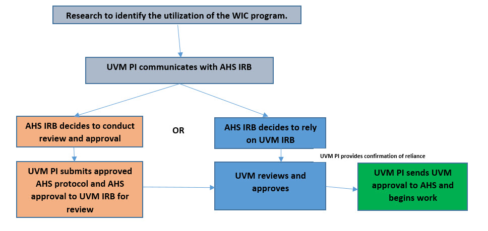 IRB Protocol Review Flow
