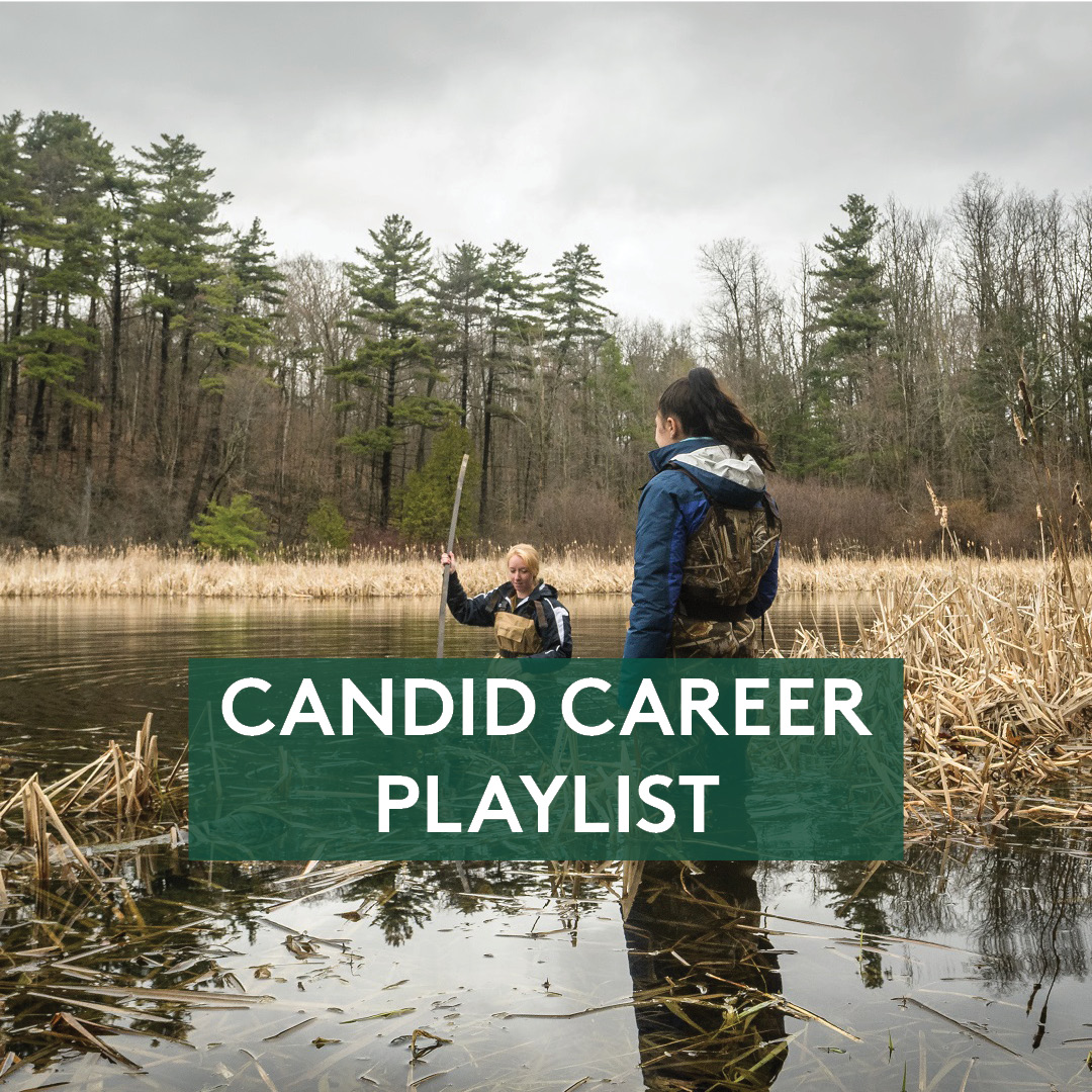 Students doing field work in a wetland, text reads "Candid Career Playlist"