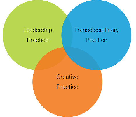 Three overlapping circles that say leadership practice, transdisciplinary practice, creative practice.