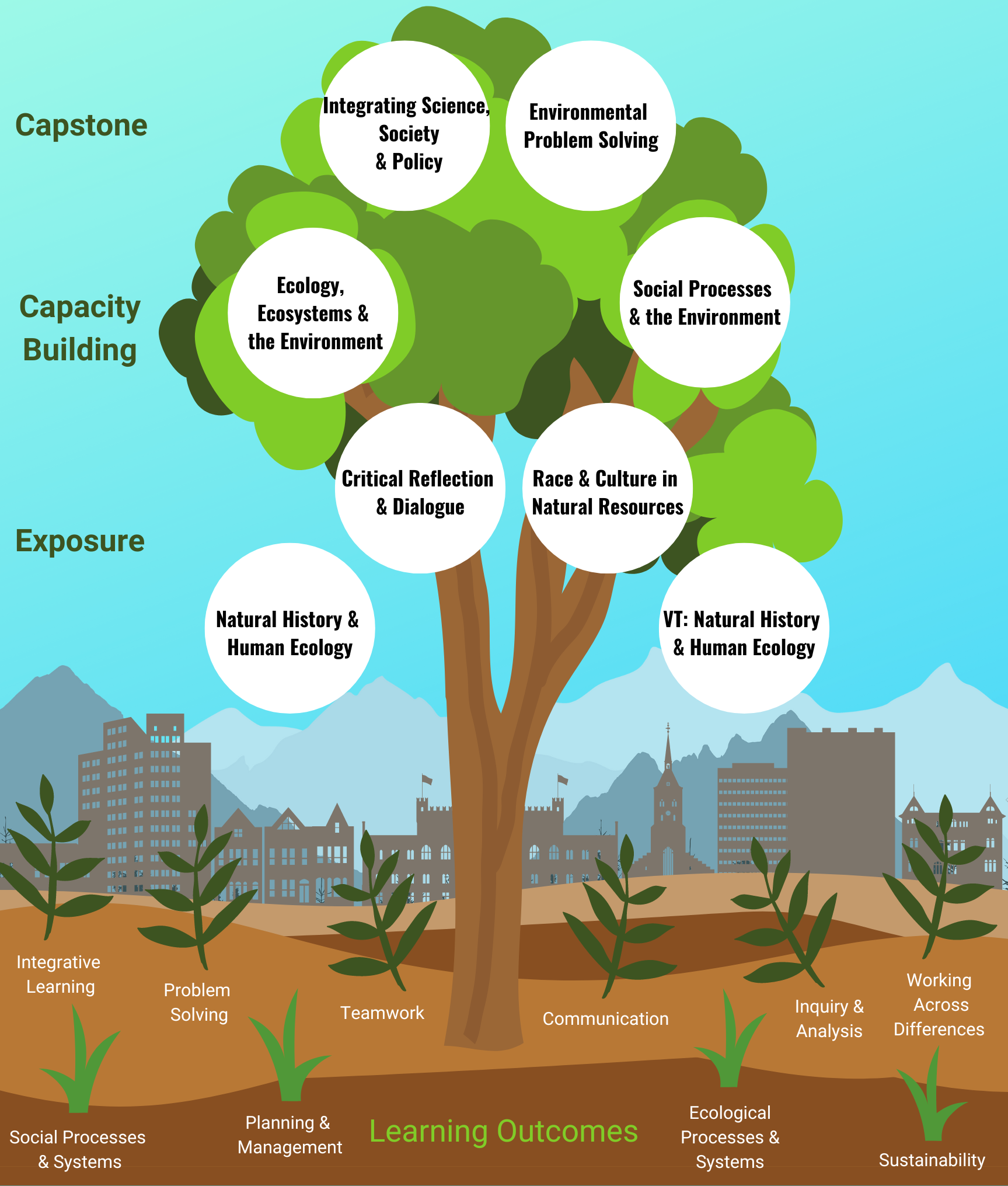 Illustration of a tree with roots representing Learning Outcomes, and the crown of the tree listing core curriculum class titles.