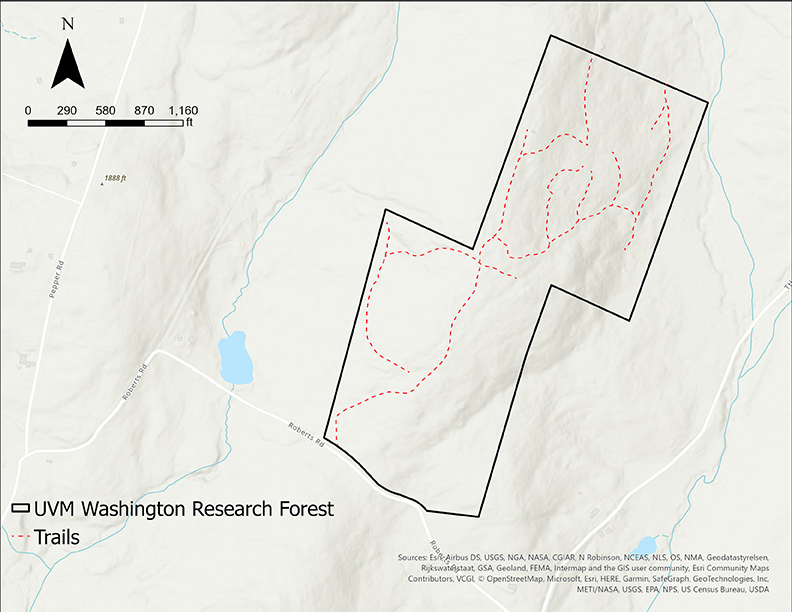 Map of trails at Washington Forest