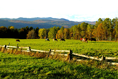 Scenic Vermont Farm Landscape