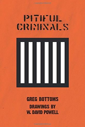 cover of Pitiful Criminals by Greg Bottoms