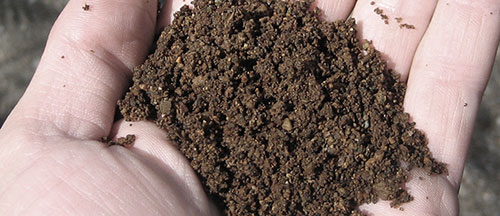 Soil sample. From Wikimedia, Sustainable Sanitation Alliance