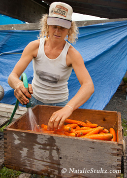 Chris Seigriest washes carrots