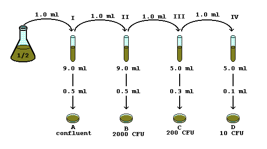 Serial Dilution Chart