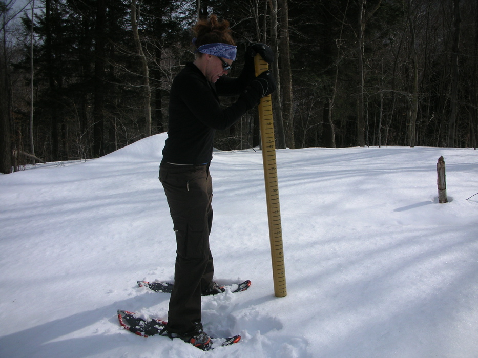 photo3