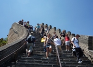 Picture 233