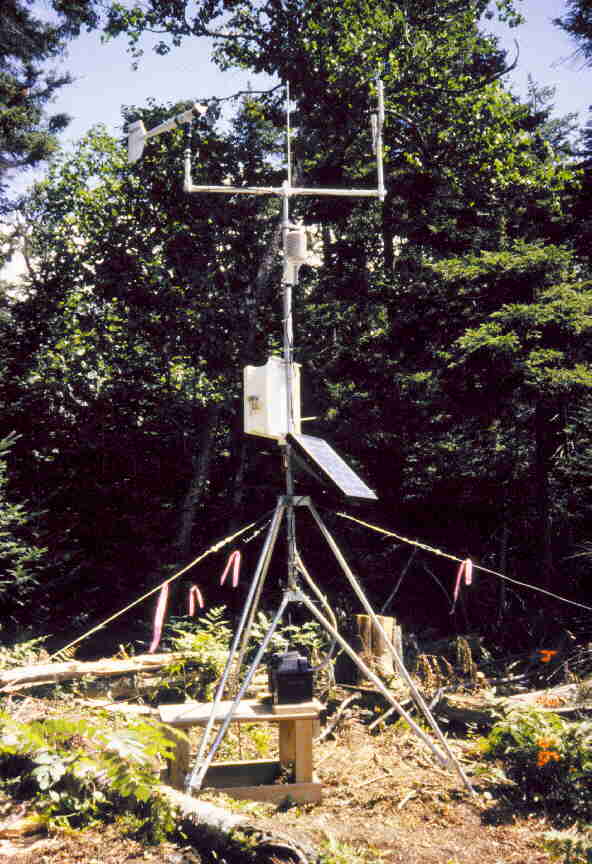 View of Mt. Mansfield (east, 2900'; Ranch Valley ) meteorological station