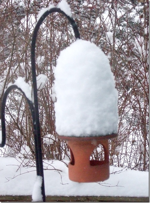 snowy-feeder