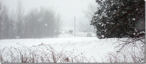 snowy-rt15