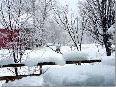 snowday-02