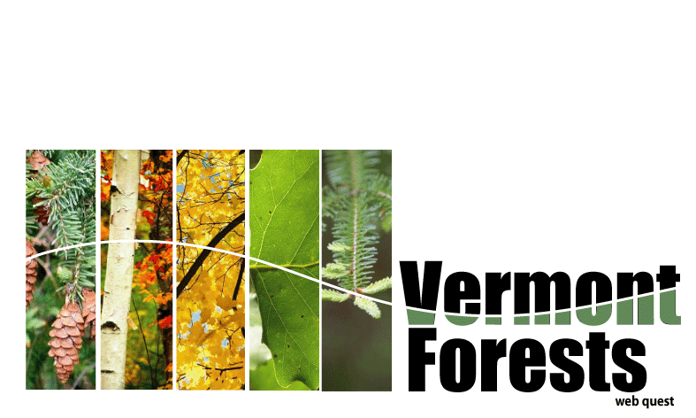 Vermont Forests WebQuest