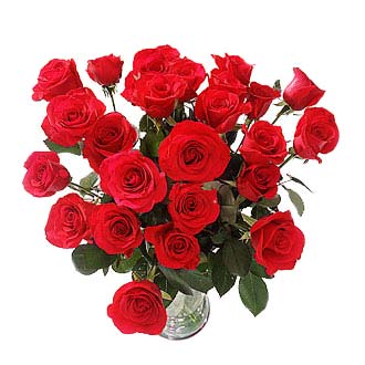 كل واحد يدخل ويقول للي بعدو شو بيستاهل - صفحة 10 Roses-long-stem-red