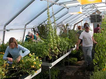 Moving_plants5.jpg (21034 bytes)