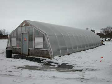 greenhouse.jpg (8516 bytes)