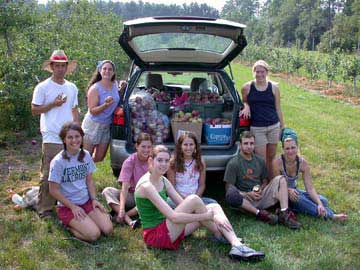The car is loaded full with apples