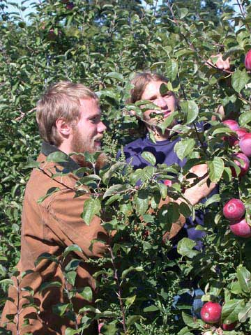 Picking
