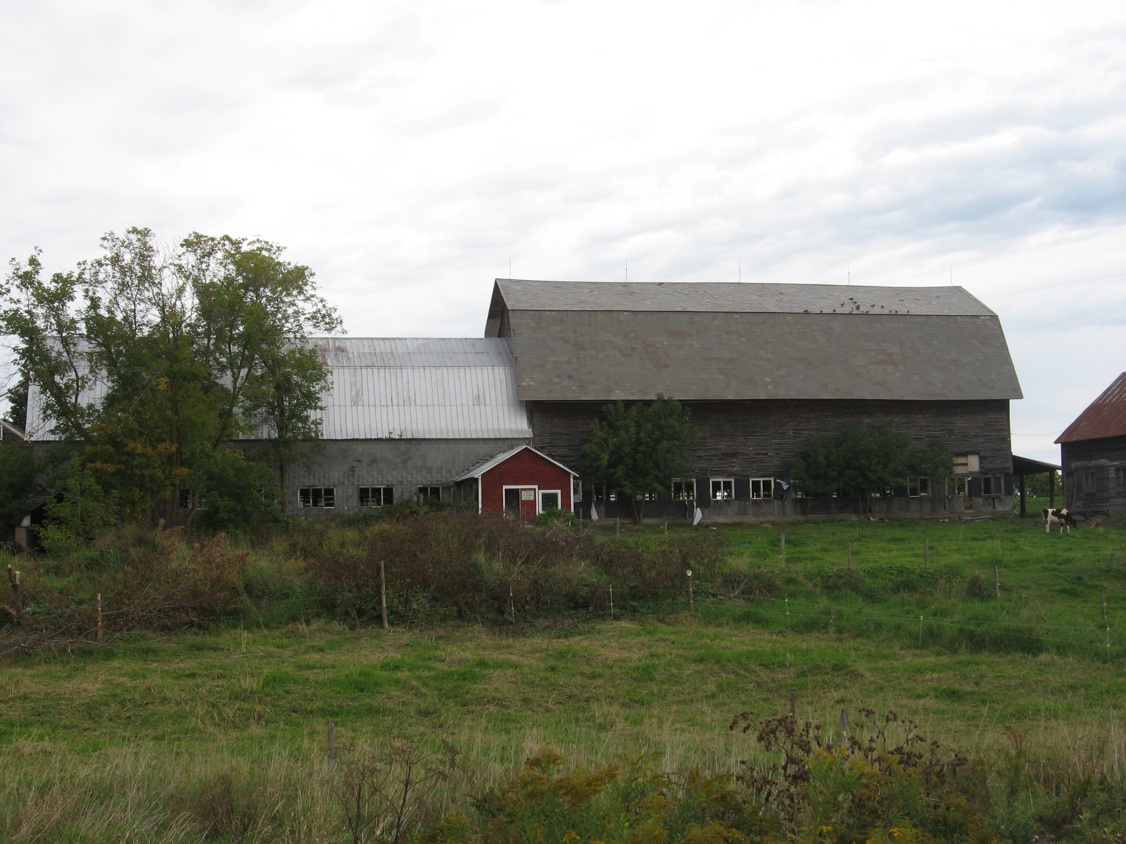 Connected ground stable barn
