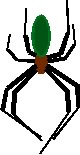 spiderlink
