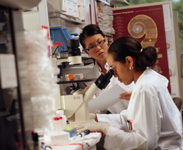 Two researchers analyzing data.