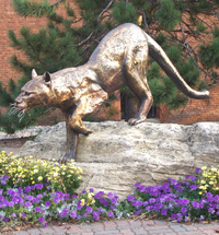 University of Vermont images