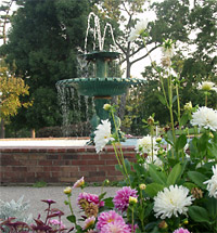 University of Vermont images