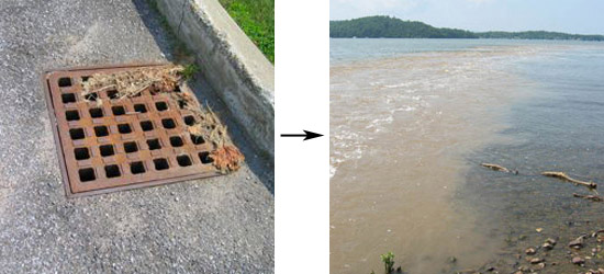 street storm drain to lake