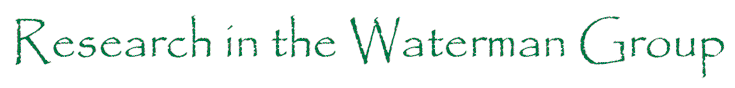 Research in the Waterman Group