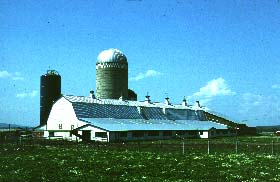 A familiar Ground Stable Barn with silos in Addison, Vermont