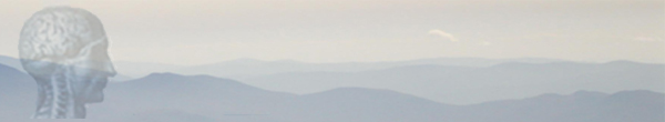 logo banner