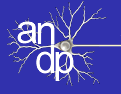 andp.org
