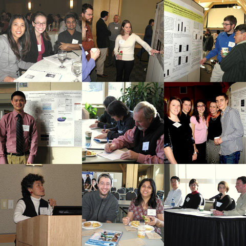 forum collage
