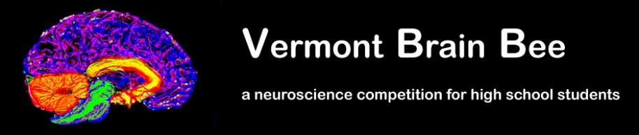 vbbbanner