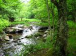 west virginia