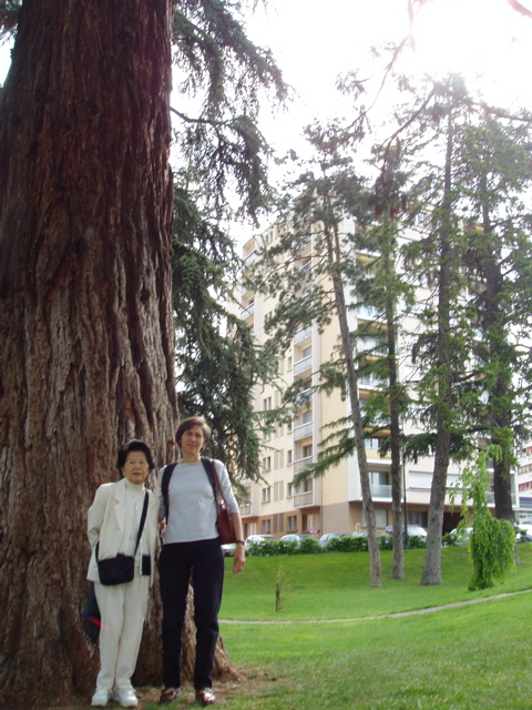 ParkAndOurApt