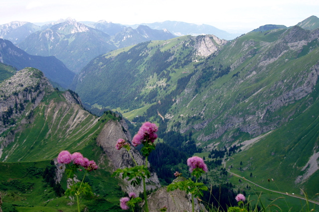 P1010015.JPG