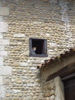 Le chat