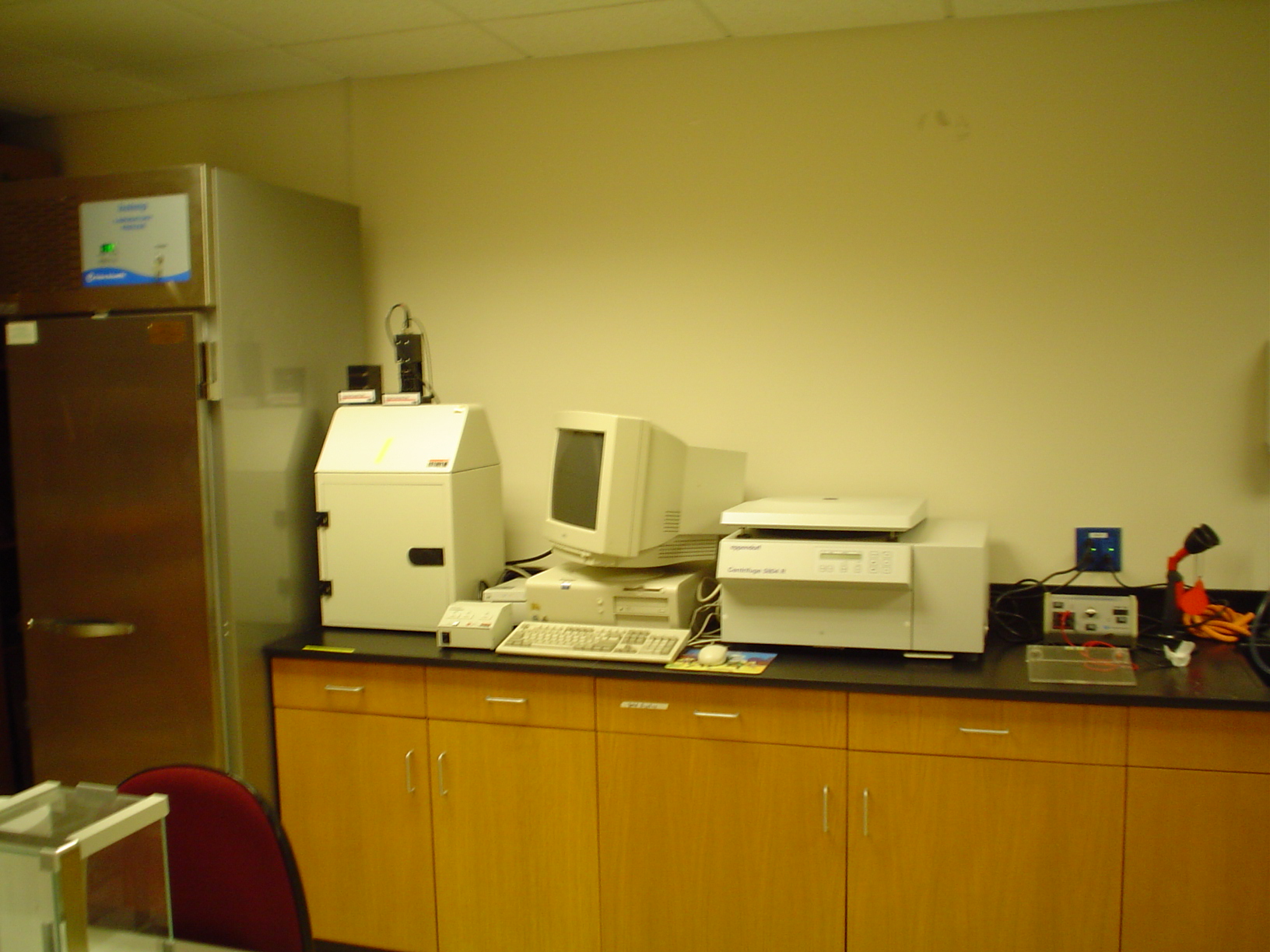 gel box and imager