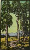 Untitled Grove.jpg (57971 bytes)