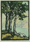 Untitled Trees 2.jpg (72900 bytes)