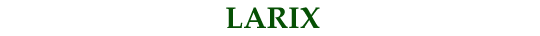 Larix
