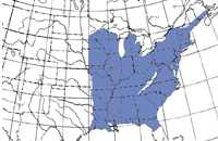 Eastern U.S.