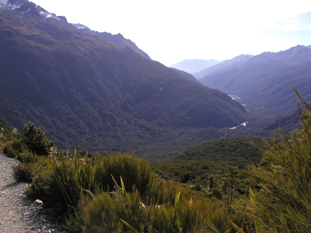 Hollyford Valley