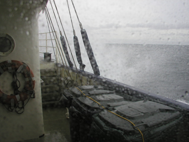 Rough Seas in the Tasman