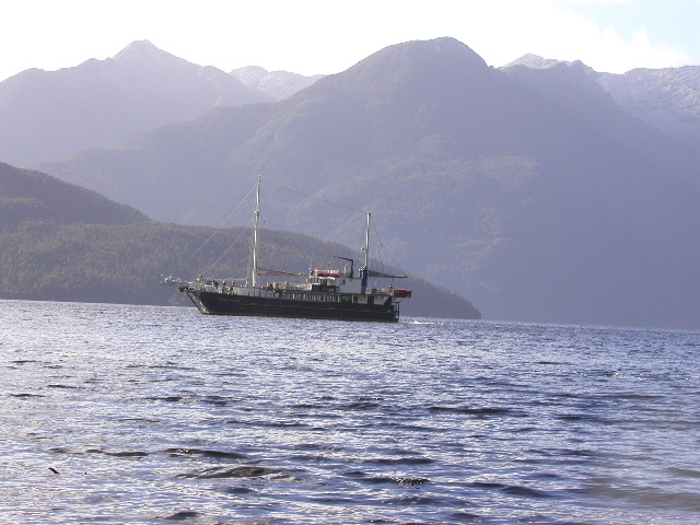 Wanderer on Doubtful Sound