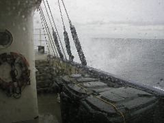 Rough Seas in the Tasman