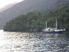 The Wanderer at Anchorage Cove